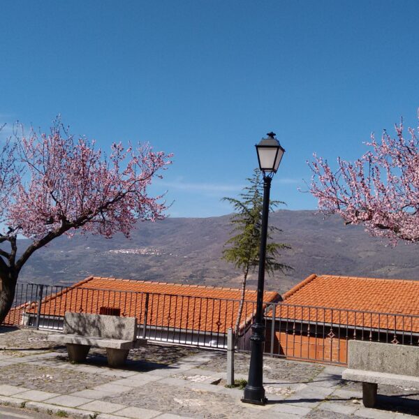 Valdastillas Paseo de los naranjos