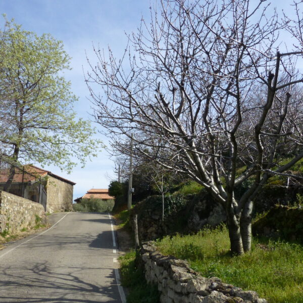 Ermita del Santo Cristo del Humilladero - Valdastillas