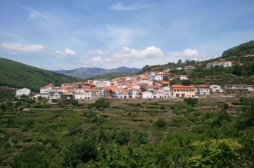Creación de un árbol genealógico en Barrado